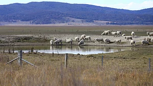 Australia facing disastrous summer of extreme weather events: Study