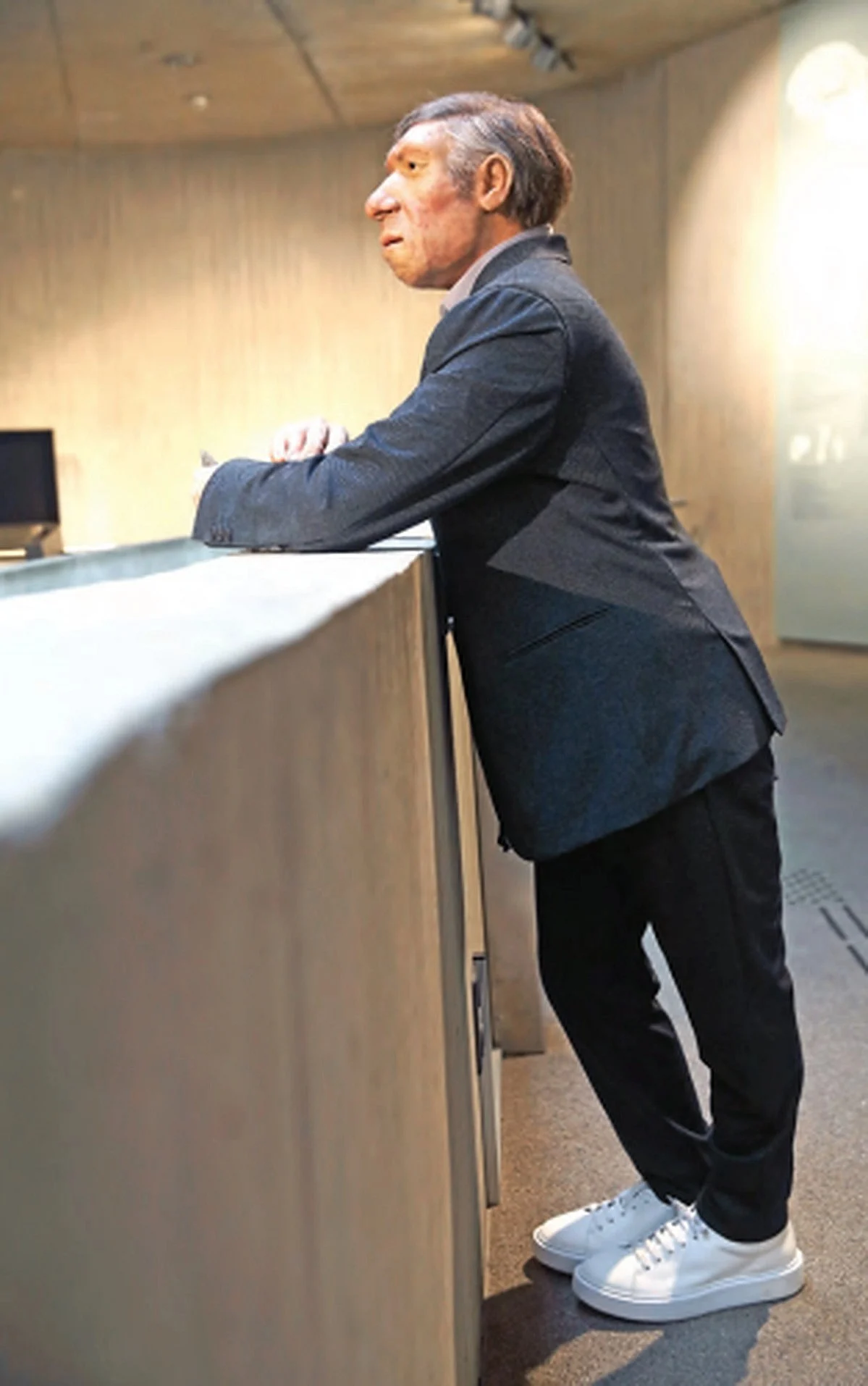 The Neanderthal in the Museum Mettmann, Germany, is dressed in a grey suit and white sneakers, holding a stone knife in his hand