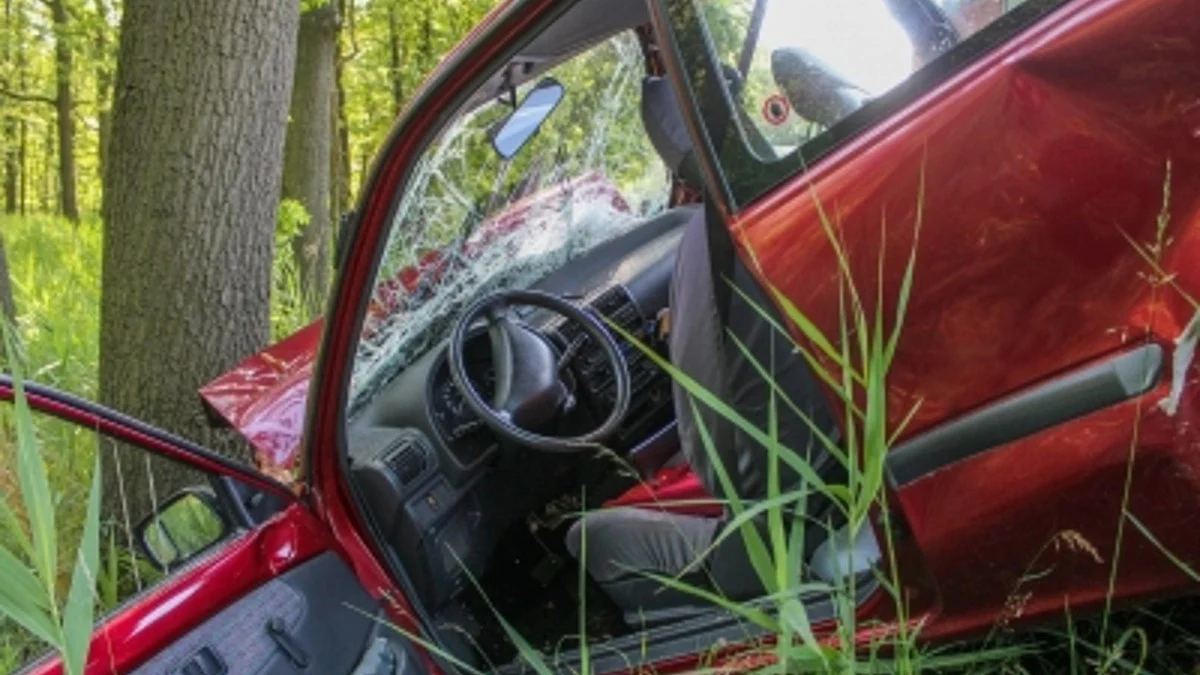 IANS Photo