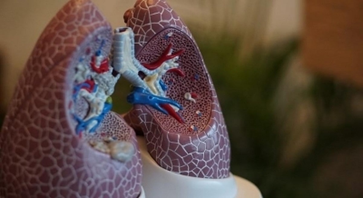 Up to 11% of Covid cases that needed hospitalisations had lung scarring: US study