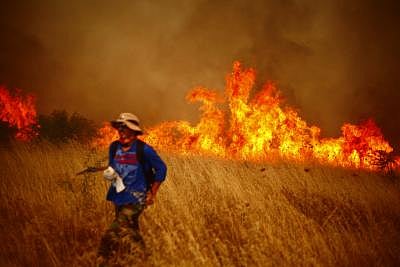 Forest fires destroy 13,000 hectares of land in Chile this year
