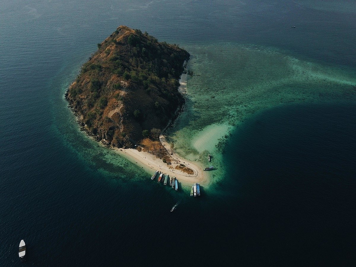 Coalition of 116 nations pledges to conserve 30% land, ocean by 2030