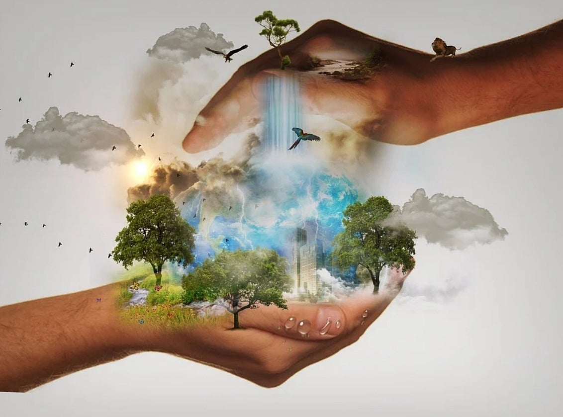 COP15: India pushes for new, dedicated fund for biodiversity conservation