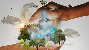 Expert calls on COP15 to come up with concrete measures to end biodiversity destruction