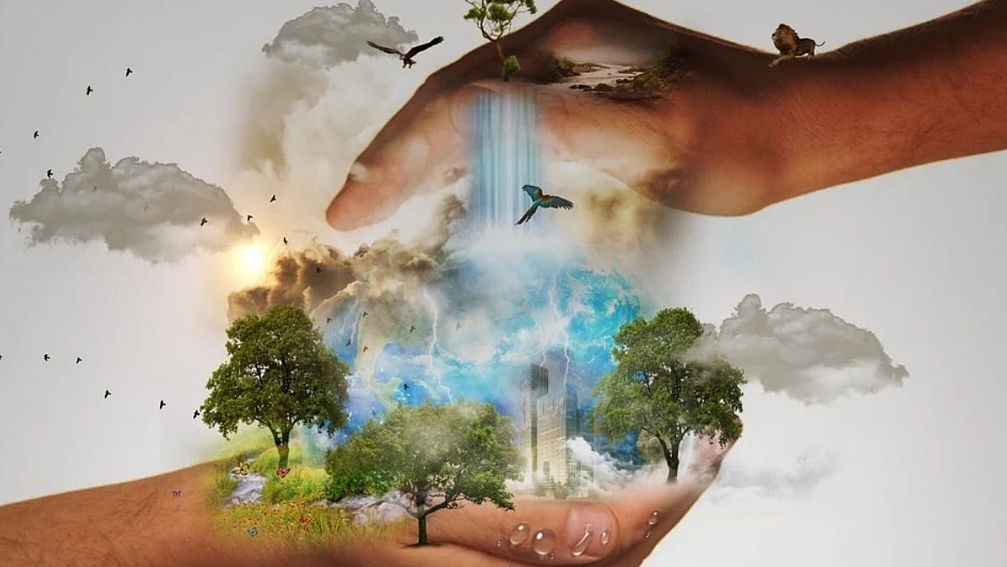 Biodiversity