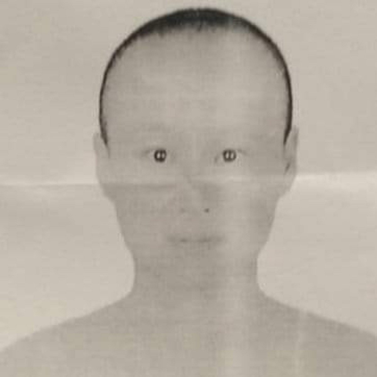 Missing Chinese Woman: A spy story that never was