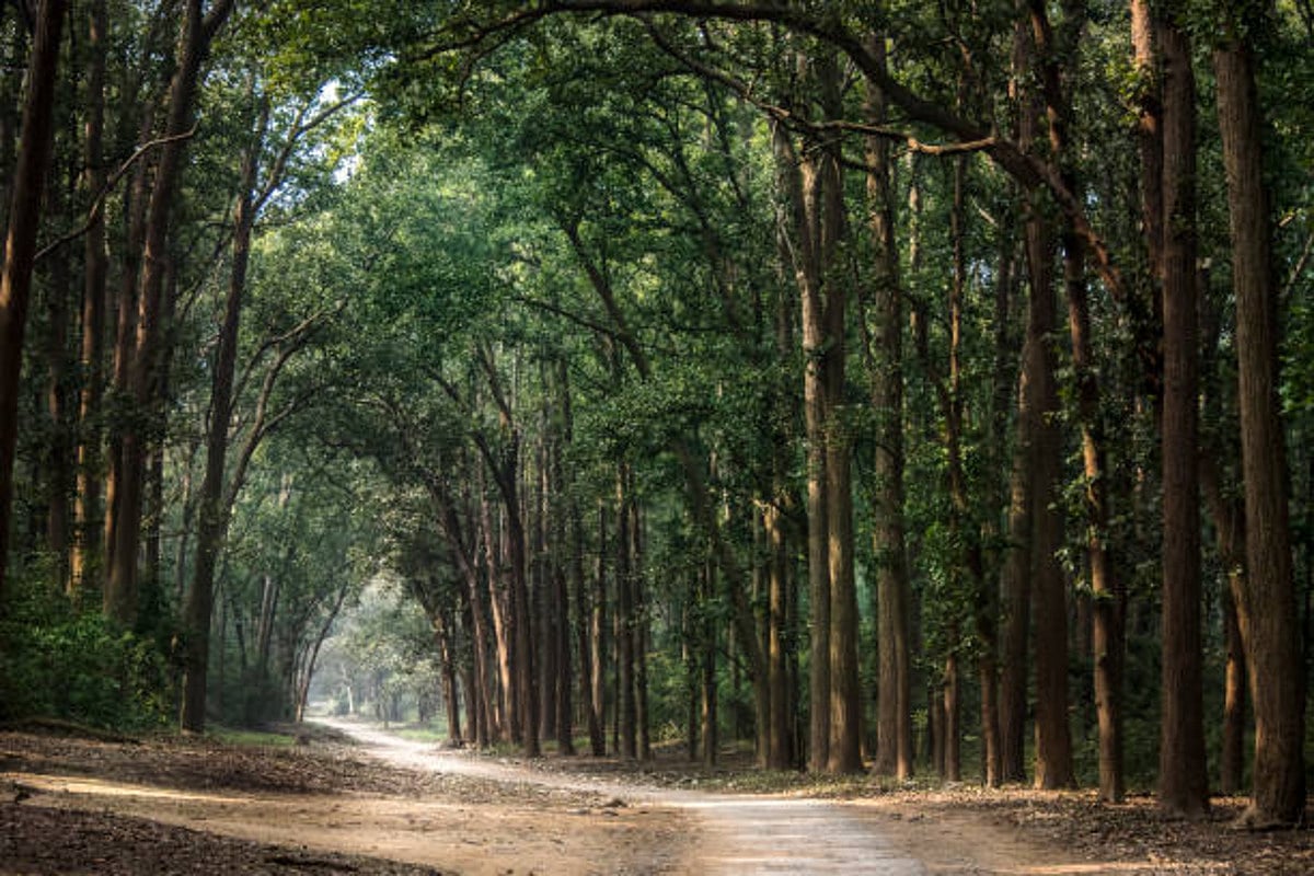 J'khand CM writes to PM, raises objections to new forest rules