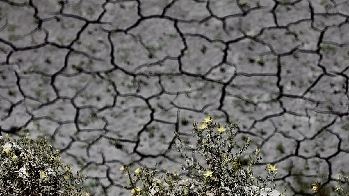  A view of the dried up and cracked water bed at the drought-stricken San Gabriel Reservoir near Azusa, Los Angeles County, California, the United States. (Xinhua/IANS)