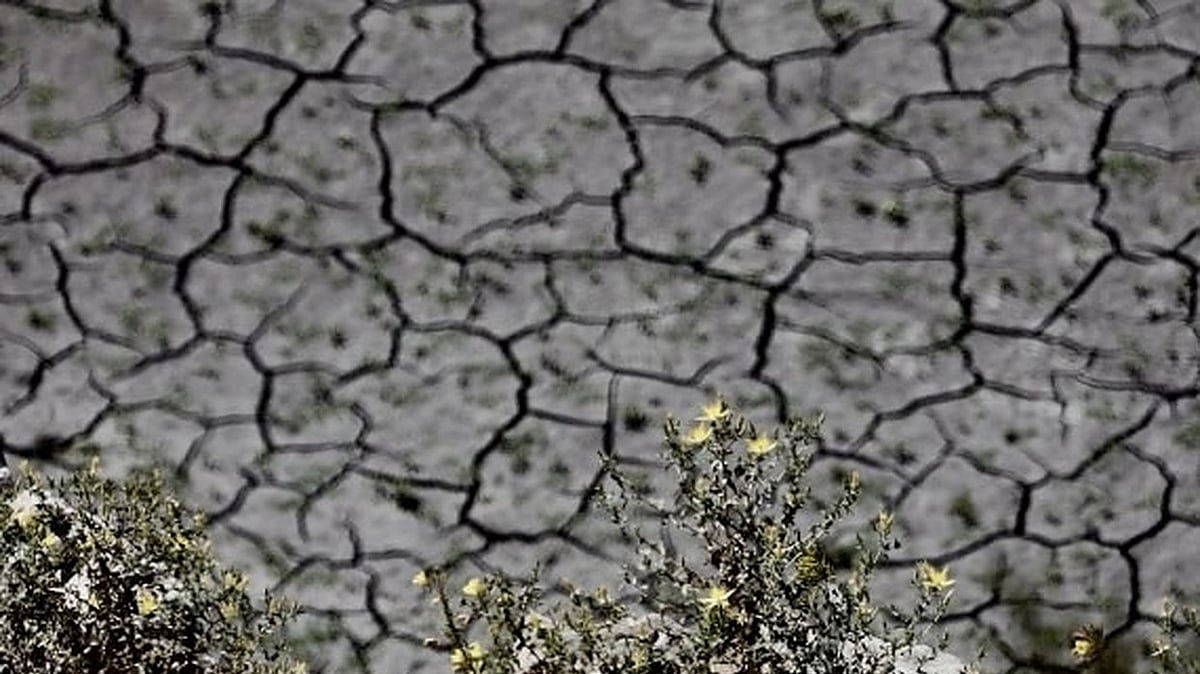  A view of the dried up and cracked water bed at the drought-stricken San Gabriel Reservoir near Azusa, Los Angeles County, California, the United States. (Xinhua/IANS)