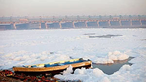 Delhi: Yamuna's pollution load has doubled since 2014, say sources in the LG office
