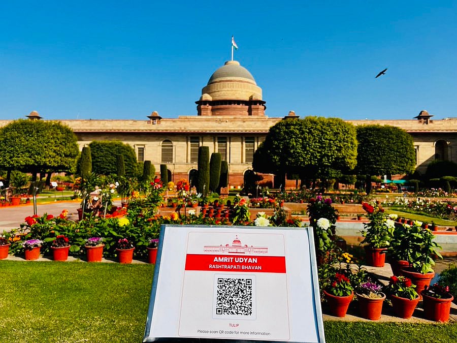 Rashtrapati Bhavan's Mughal Gardens renamed 'Amrit Udyan', to open for public from January 31
