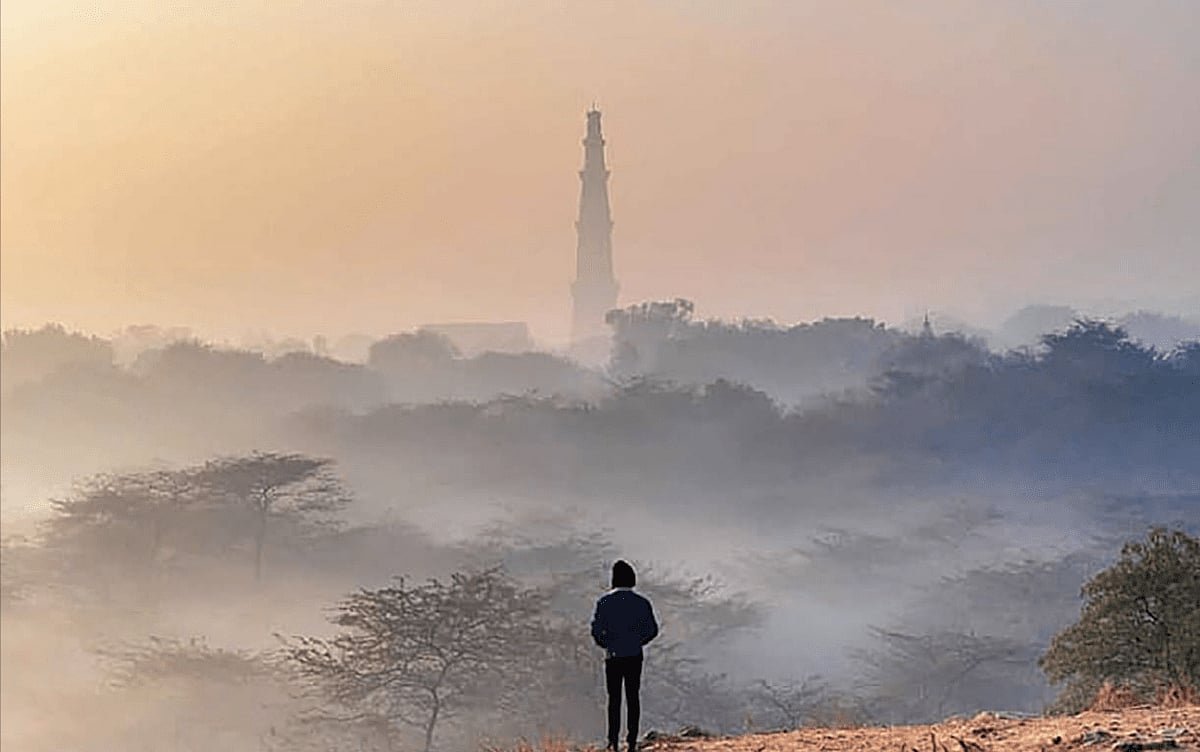 Mountain and the Mafia: How the Aravallis vanished in the NCR