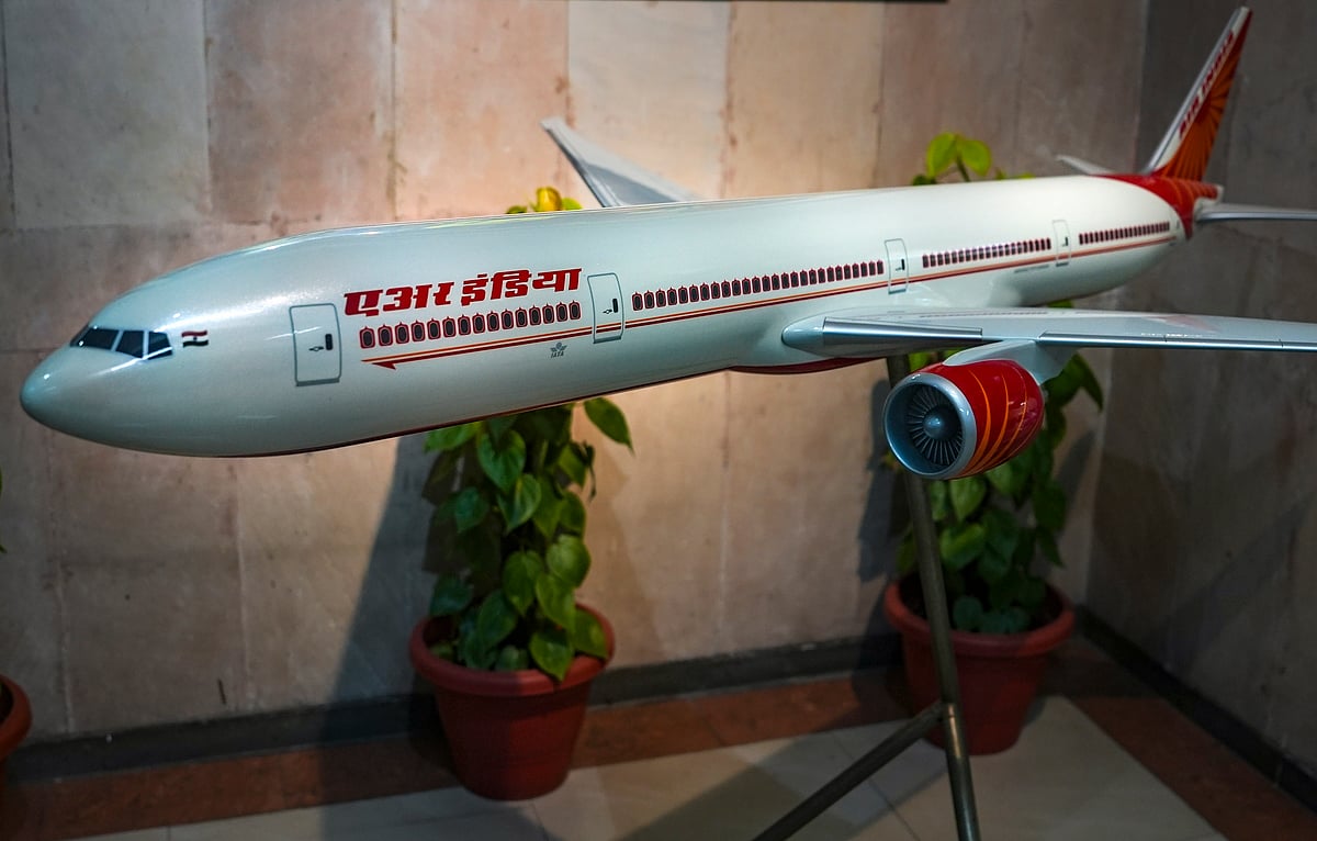 Passenger finds stone in Air India in-flight meal; airline says strict action will be taken against caterer