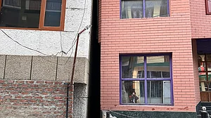 Uttarakhand HC asks state govt to formulate robust plan for subsidence-hit Joshimath
