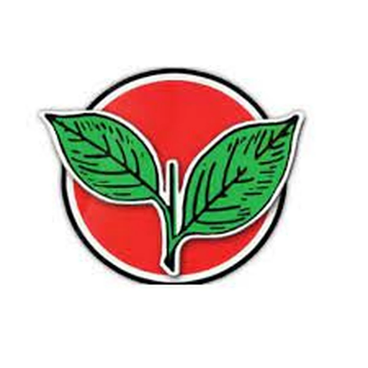 AIADMK nominates former MLA Thennarasu for Erode East by-poll