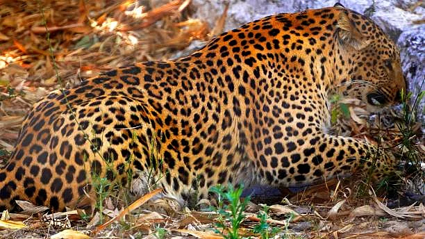 Getty Images (Representative Image)