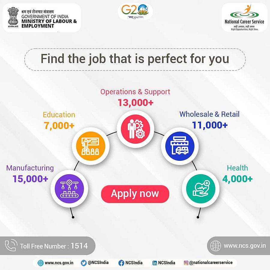 Government employment portal NCS fails to connect job seekers with opportunities