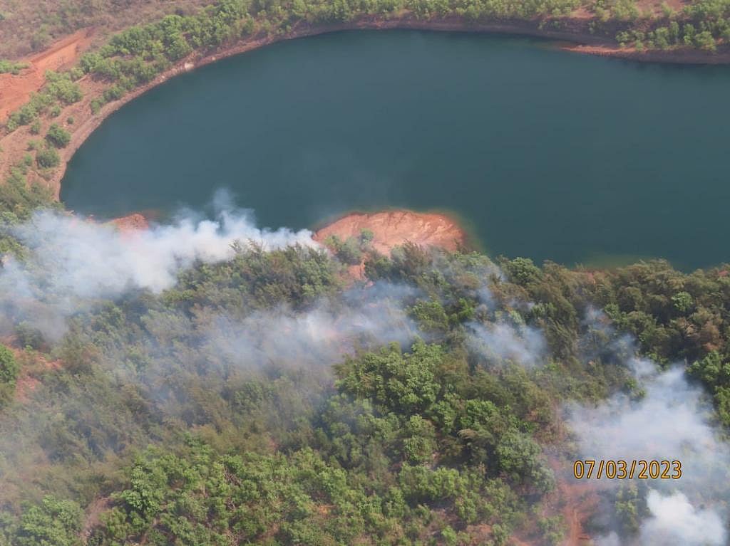 Mhadei wildlife sanctuary fire could be deliberate act, says Goa CM; orders probe