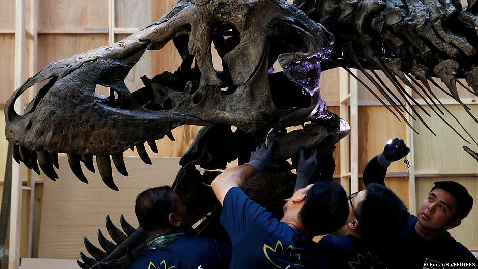 Biggest and ‘most complete’ dinosaur skeleton to go on sale on November 16
