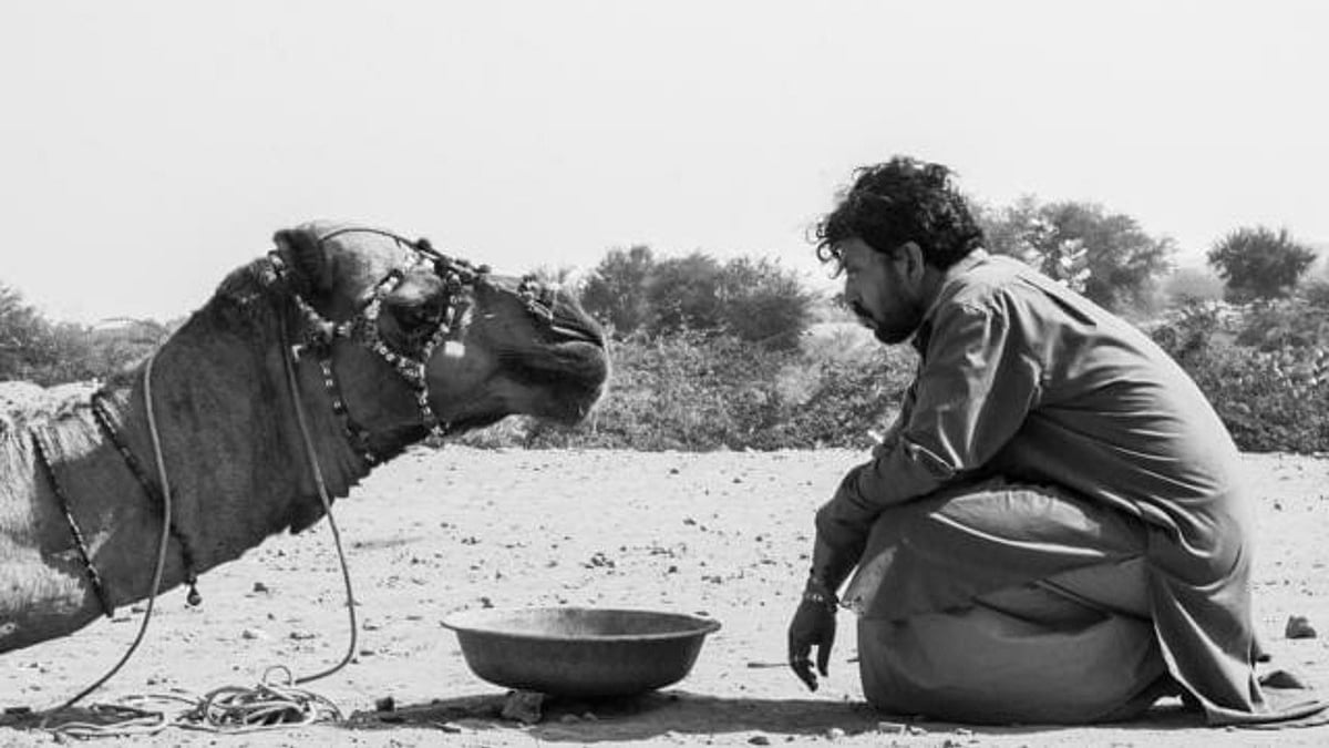 Irrfan Khan faces off against a camel (still from 'The Song of Scorpions')