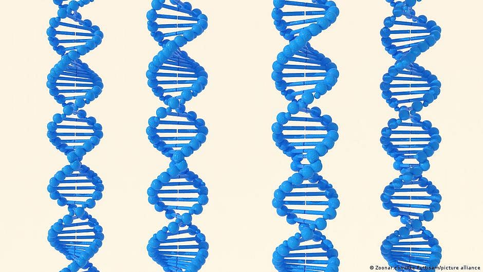 The human genome: The most important map ever produced