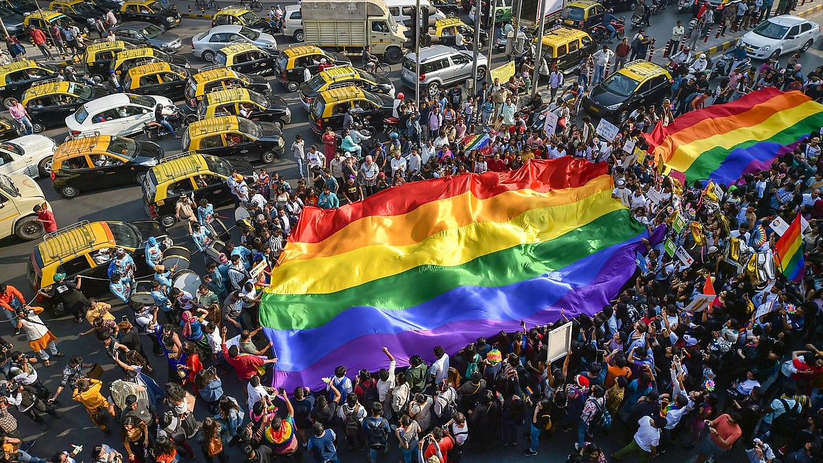 Representative image of Pride parade with the rainbow flag held aloft over a crowd (photo: PTI)