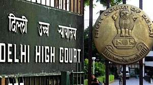 Delhi HC refuses full ban acid sale, asks state to ensure implementation of laws