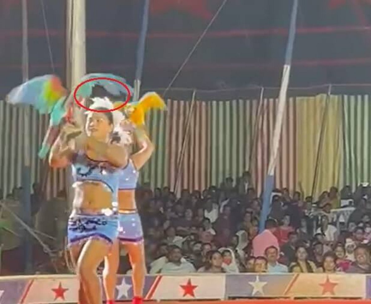 Kerala Police file FIR against Great Bombay Circus over bird cruelty