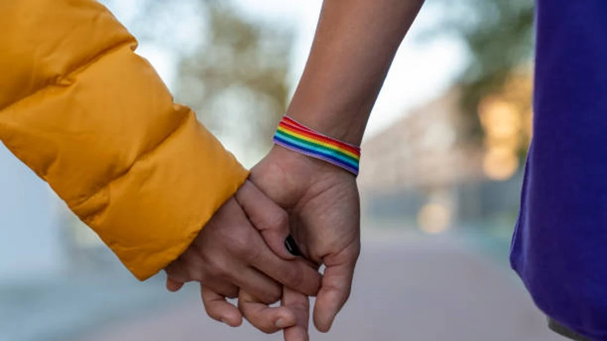 Same-sex marriage: Petitioners seek declaration under SMA; Centre argues limits of judicial power