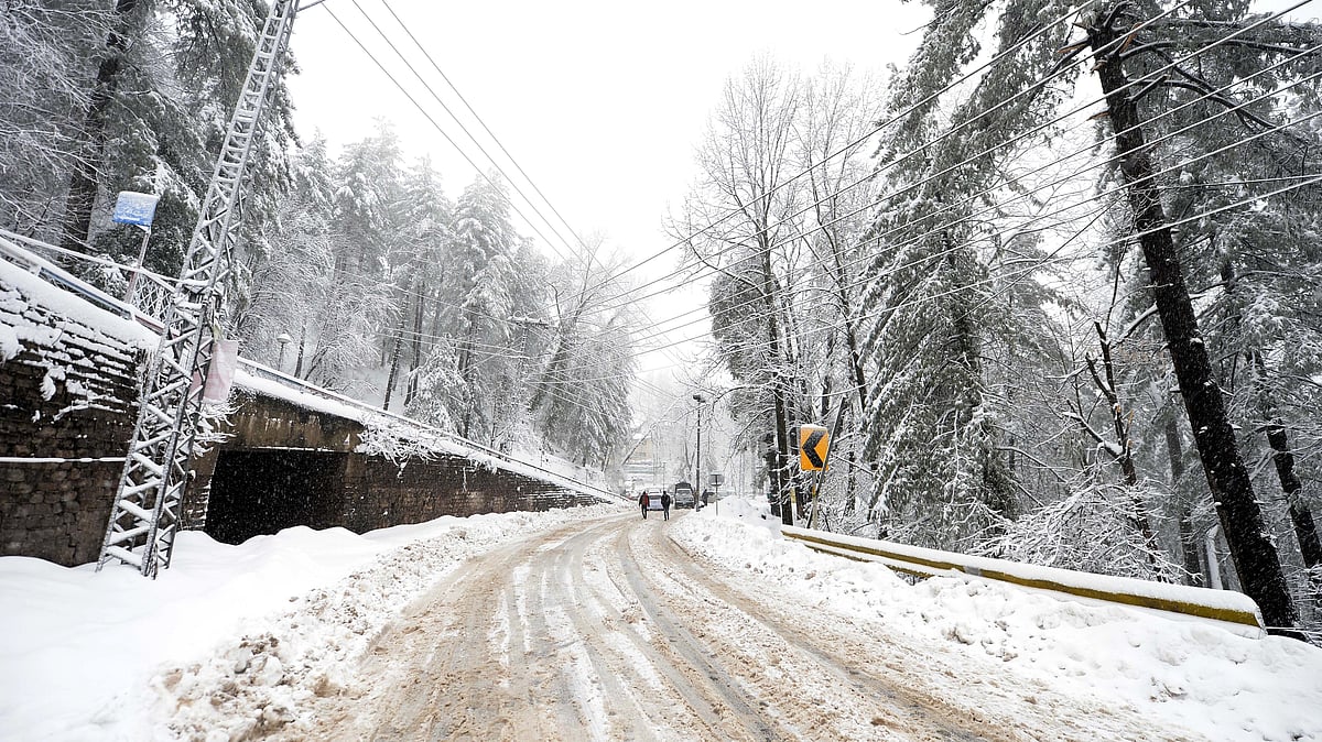 J-K: Nomads face distress due to untimely snowfall in Doda hills, halt onward journey