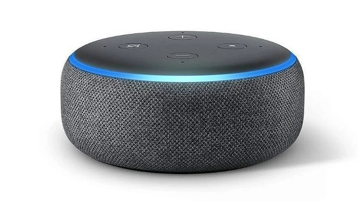 Alexa device (photo IANS)