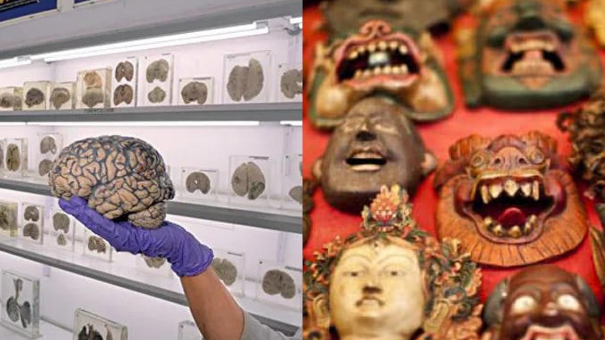 NIMHANS Human Brain Museum (left) and Mayong Central Museum and Emporium of Black Magic and Witchcraft