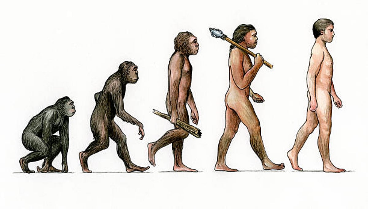 Removing Darwinian evolution from textbooks will lead to increased superstition, experts warn