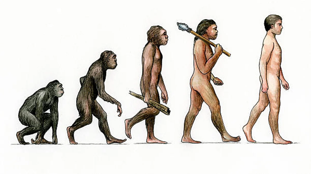 Evolution of Man Artist: Karen Humpage (Photo: Getty Images)
