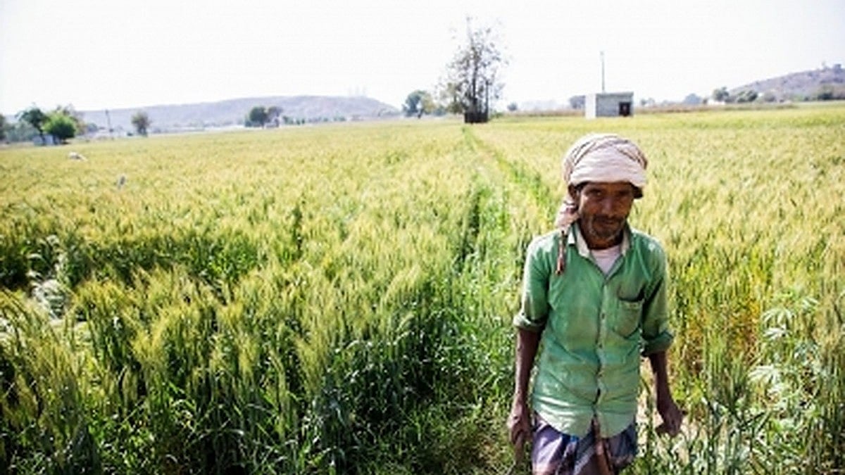 Microsoft, Accenture to empower 13 Indian social impact startups
