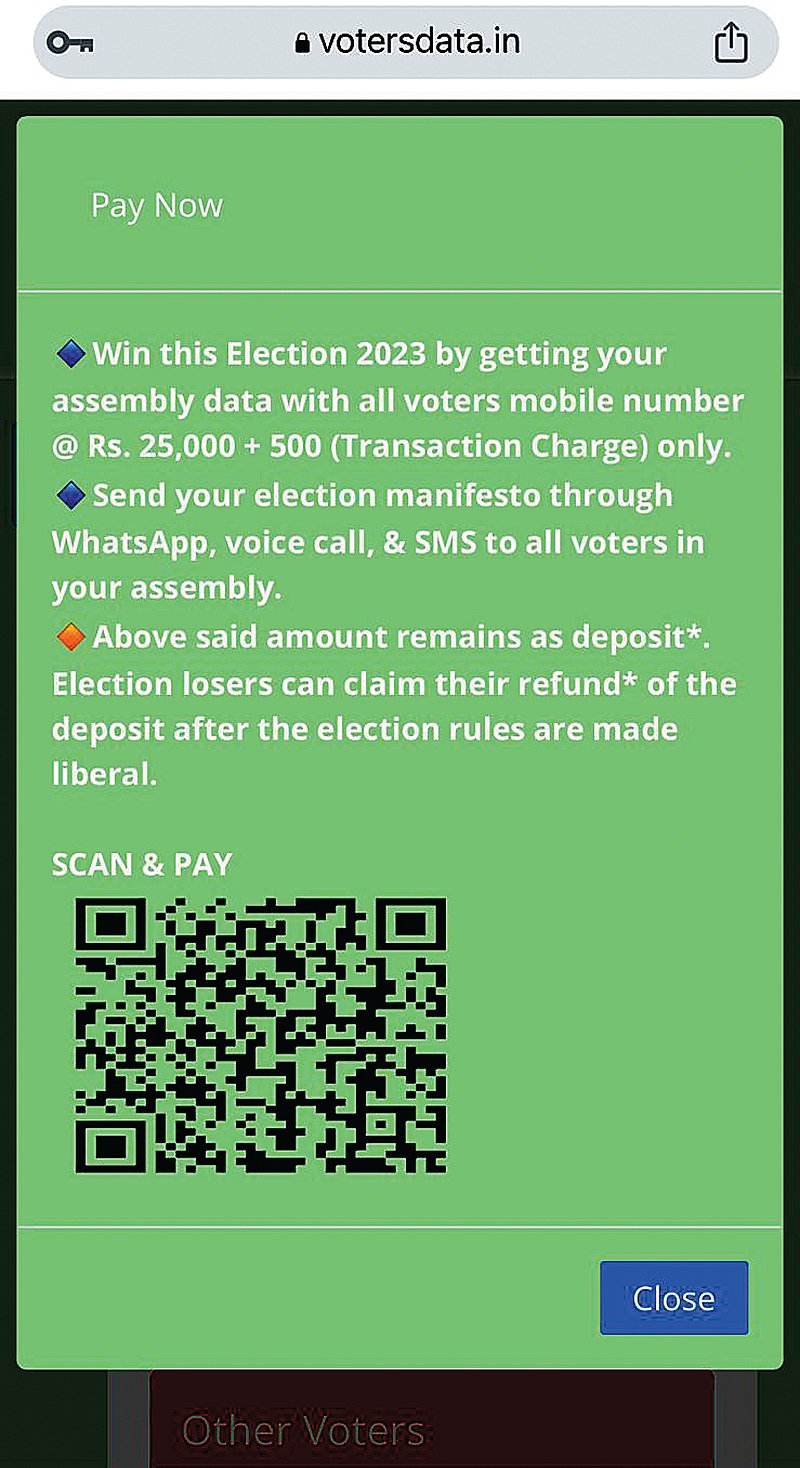 A screen grab of the website selling voter data