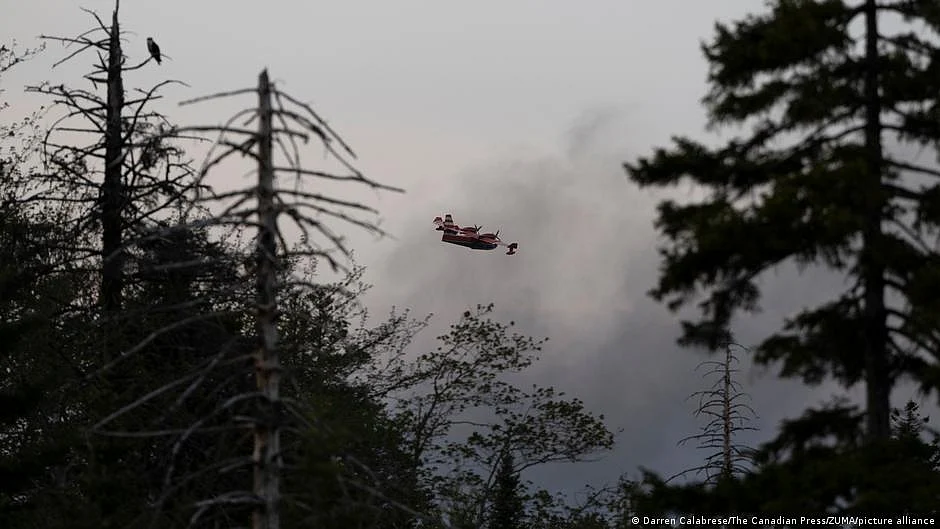 Halifax wildfires (DW)