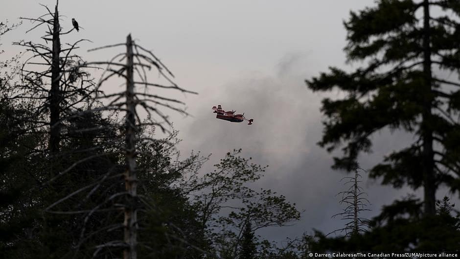 Halifax wildfires (DW)