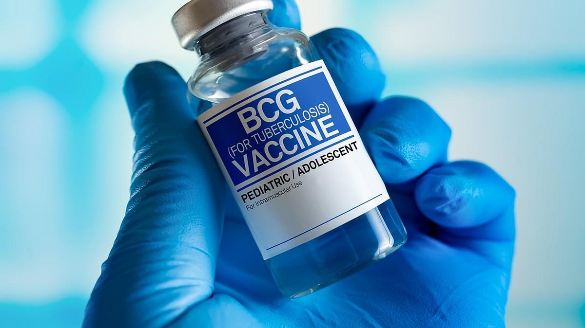 Bacillus Calmette-Guerin (BCG) vaccine which prevents tuberculosis. (Stock Image)