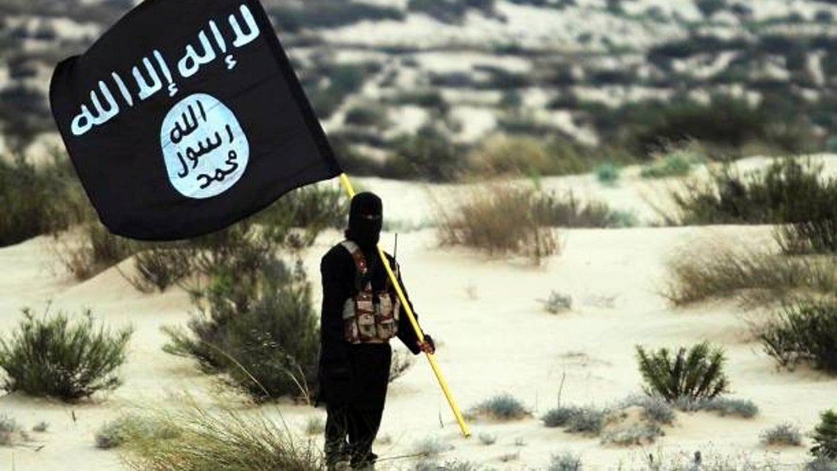 Indian-American charged with wiring money to IS women: Report