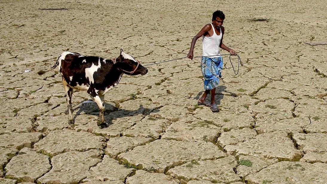 Representational image.
Photo courtesy: DW