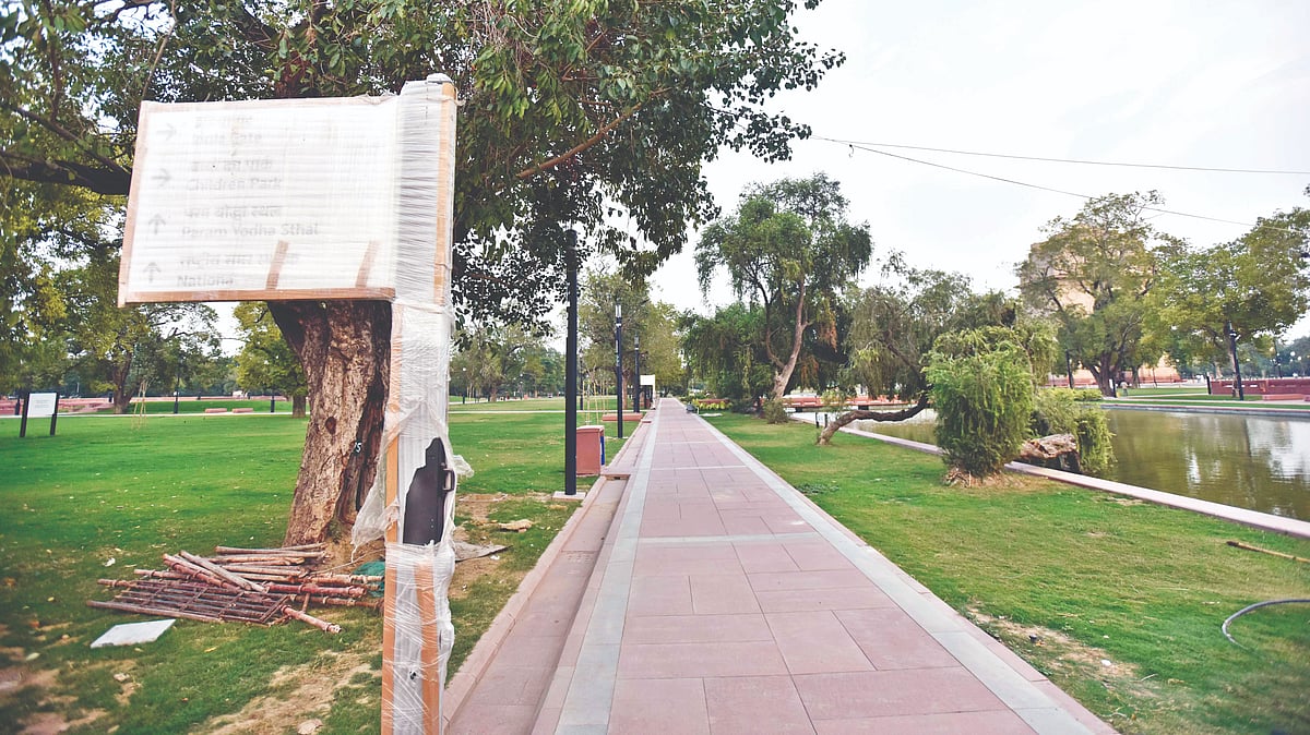 Of the 404 trees uprooted and transplanted elsewhere to make way for the Central Vista project, only 121 survived, as per a report in 'The Indian Express'