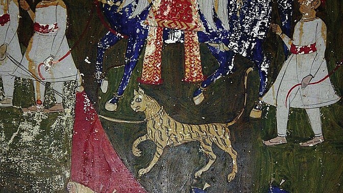A fresco painting in Bara Mahal of Kota, Rajasthan, 16th century shows a captive big cat with a long tail, slender body and short fat stripes (photo courtesy Dharmendra Khandal)