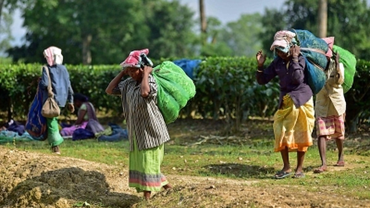 To avoid Manipur-like conflict, Assam govt defers ST status to six ethnic groups