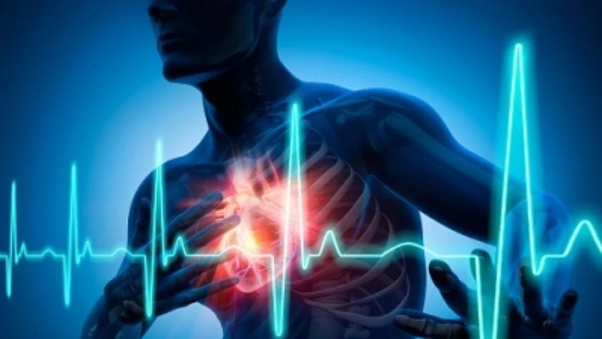Representative Image of an X-Ray of a person's heart (photo: IANS)