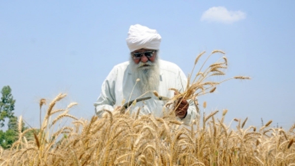 Rising CO2 levels may boost crop calories but reduce nutrients, study finds