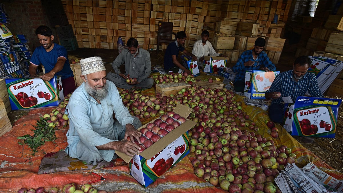 Stakeholders in Kashmir seek revision of 20 pc duty waiver on American apple