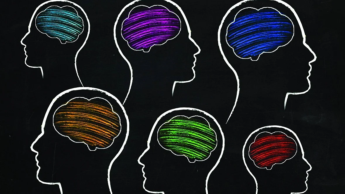 Representative image of humans with brains in different 'colours'
