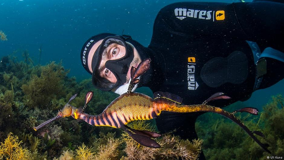 Marine biologist Uli Kunz (photo: DW)