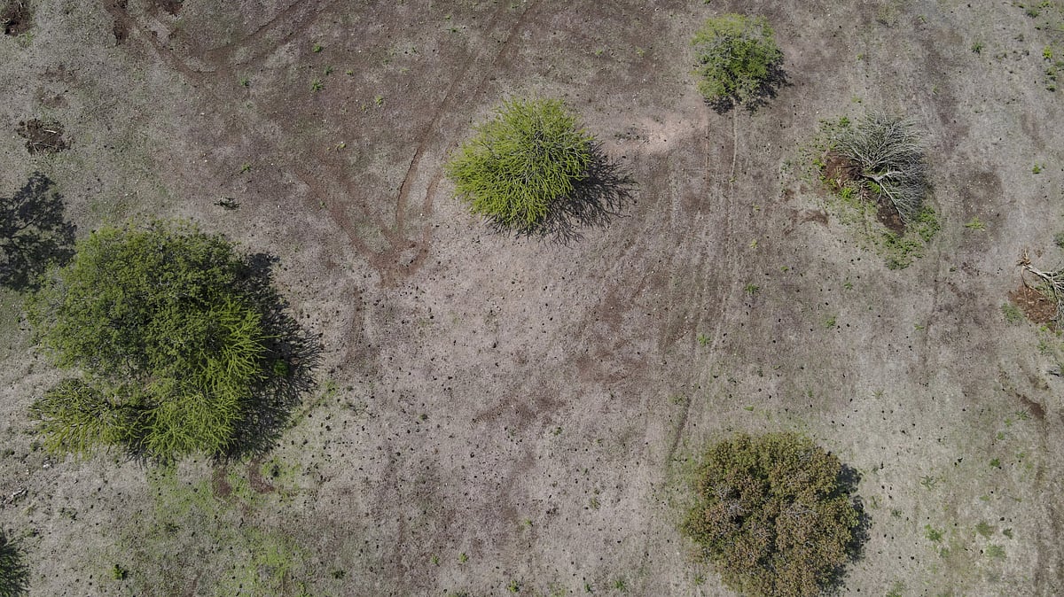 From China to Mexico, El Nino threat begins to loom